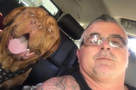 Fundraiser by Michelle Conte : Save Hercules