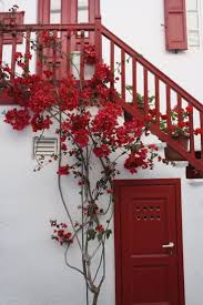 White House With Beautiful Red Accents Design Flowers Ideas Flowers Red Aesthetic Red Wallpaper Red Door
