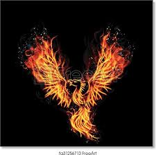 The legendary phoenix is a large, grand bird, much like an eagle or peacock. Free Art Print Of Fire Burning Phoenix Bird Illustration Of Fire Burning Phoenix Bird With Black Background Freeart Fa31256713