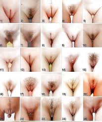 Секс виды женских половых органов (59 фото) - порно и фото голых на  pornokran.cc