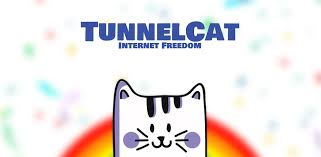 Tunnelcat vpn is a free vpn client that helps you bypass internet censorship. Tunnelcat Vpn La Ultima Version De Android Descargar Apk