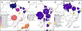 Zika, chikungunya and co-occurrence in Brazil: space-time clusters ...