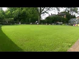 I know that there are few things that men are more particular about than their lawn. Watering New Grass Seed Day 1 7 14 4 Week Time Lapse Golectures Online Lectures