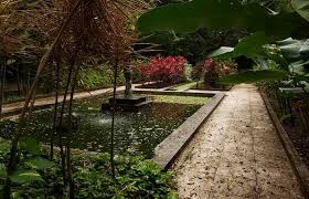 Inside is quiet, serene, and boasts over 5,500 species of plants. Jardim Botanico Reabre No Recife E Torna Se Opcao De Lazer Durante A Pandemia Local Diario De Pernambuco