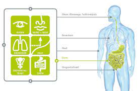 Schutzbarrieren Haut Und Schleimhaute Mehr Zur Funktion Und Tipps Nutrimmun