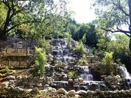 fethi pasa korusu istanbul ibbpr ibb park garden flowers nature garden plants park