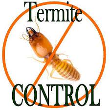 In that time, we've become an industry leader in. Does Pest Control Kill Termites Responsible Pest Control