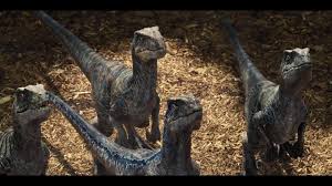 Velociraptor 4k Wallpapers Wallpaper Cave Check out this fantastic collection of 4k astronaut wallpapers, with 37 4k astronaut background images for your desktop, phone or tablet. velociraptor 4k wallpapers wallpaper cave