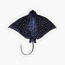 #eagle ray, #eagle ray fish, #eagle ray size, #eagle ray tattoo, #eagle rays cayman, #eagle ray nz, #eagle ray facts, #eagle ray australia, #eagle ray maldives. Eagle Ray Gifts Merchandise Redbubble