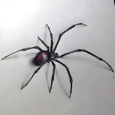 Eve has a black widow spider tattoo on her left shoulder. 3d Spider Tattoo Design Spider Tattoo 3d Spider Tattoo Black Widow Spider Tattoo
