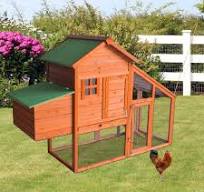 Amazon.com: Peachtree Press Inc Gallinero de madera al aire ...