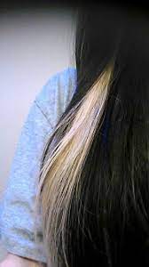 White Streak In Black Hair Streaks In Black Hair White Streak In Hair Hair