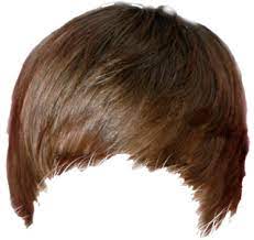 Part01 Real Hair Png Zip File Free Download Men Hair Pngs For Picsart Or Photoshop Hd Transparent Hair Png Editorbro Download Hair Hair Png Hair Styles