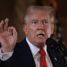 Pro-Palestinian delegates plan to push US Democratic convention for Israel  arms embargo