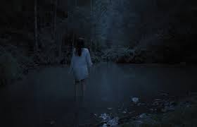 What is initially a welcome rescue grows more suspicious as the son and his renegade father reveal a cultish devotion to the forest. Gaia Grune Holle Film 2021 Scary Movies De