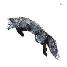 Black And White Fox Tattoos For Men White Fox Drawing Viewing Gallery Fox Tattoo Men Fox Artwork Fox Drawing