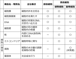 原核細胞と真核細胞 せいぶつ農国