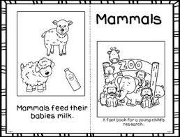 162 x 223 x 4 mm encadernação: Fact Booklet Mammals Mammals Mammals Activities Animal Facts