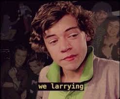 Si eres directioner y estas aburrida sin duda debes de ver este libro aqui les dejo los mejores memes de one direction que he encontrado ¡espero que les gusten! One Direction Meme Explore Tumblr Posts And Blogs Tumgir