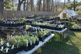 Allisonville nursery, garden & home. Nursery Near Me Open Late