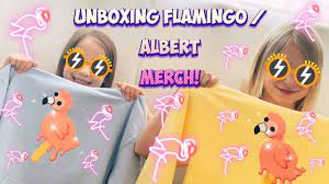 Get the official flim flam apparel here! Unboxing Flamingo Albert Flim Flam Merch With My Sister Flamingo Popsicle T Shirts Hoodies Youtube