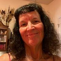 The 20th Century in Poetry by Michael Hulse