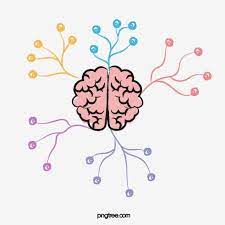 التفكير الكرتون الدماغ لون متباين الدماغ تفكير خريطة ذهنية Png والمتجهات للتحميل مجانا Photo Collage Template Cartoon Brain Free Graphic Design