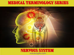 The central nervous system is made up of the brain and spinal cord. Medical Terminology Of The Nervous System Nursecepts