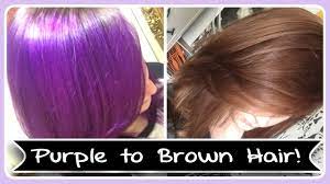 Dyeing your hair pink is a great way to change up your style. Going From Arctic Fox Purple Hair To Brown Hair Youtube