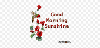 Good morning pictures and photos. Morning Good Bird Gif Good Morning Sunshine Animated Gif Free Transparent Png Clipart Images Download