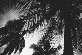 Resultado de imagen de fotos tumblr en la playa blanco y negro