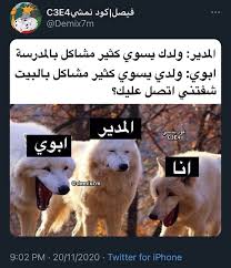 pin by مہصہريہهہ on memes funny dude funny school memes fun quotes funny