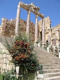 Você fará parte de um dos maiores movimentos sociais do sinta a alegria das famílias que conquistaram a casa própria com a baalbek. 20 Ideas De Baalbek Libano Mundo Antiguo Ruinas