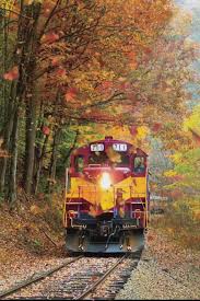Autumn Hue Video Scenic Train Rides Train