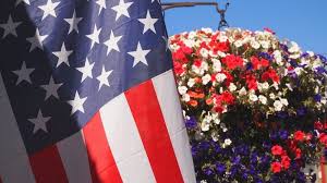 We did not find results for: 15 Best Red White And Blue Flowers For Your Labor Day Decorations