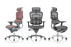 Office Chairs Best Ergonomic Premium And Executive Designer Office Chairs Manfacturers Online Featherlite