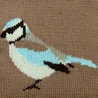 garden bird intarsia chart to download mimi codd