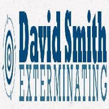 Delaware pest control state certified specialists then tailor a termite treatment designed to neutralize any further. Pest Control In Laurel Yelp