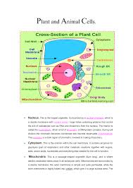 We did not find results for: Plant And Animal Cells Nucleus This Is The Largest Organelle
