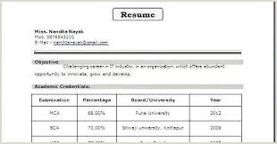 Beautiful layouts, pick your favorite. Bca Fresher Resume Format