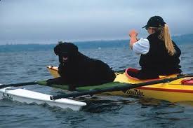 If you're just starting to browse the options available, be sure to check out our top five vessels for you. Looking For The Best Kayak Dog Platform Kayaking With Dogs Canoe And Kayak Kayak Outriggers