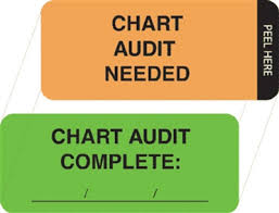 Briggs Action Label Chart Audit Needed Size 15 16 X 2 1 4 100 Disposal Per Box
