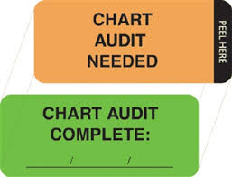 briggs action label chart audit needed size 15 16 x 2 1 4 100 disposal per box