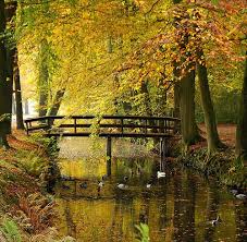 Landgoed Nienoord Leek The Netherlands Beautiful Nature Beautiful Landscapes Scenery