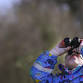 Langdon Love Wildlife Event event in Basildon