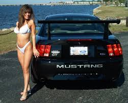 Image result for black cobra with sweet girl