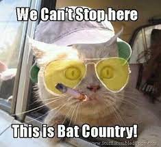 Hunter S Tomcat Fear And Loathing Bones Funny Fear Loathing In Las Vegas