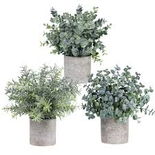 Fresh eucalyptus from trader joe's. Winlyn Set Of 3 Mini Potted Artificial Eucalyptus Plants Plastic Fake Green Rosemary Plant For Home Decor Office Desk Shower Room Decoration Buy Online In Nicaragua At Desertcart Ni Productid 133241701