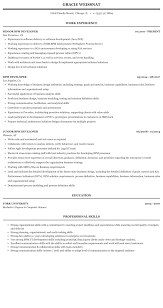 bpm developer resume sample mintresume