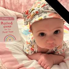 Mini hopper pipe with splitter part number needed